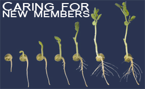 Seedlings blue text